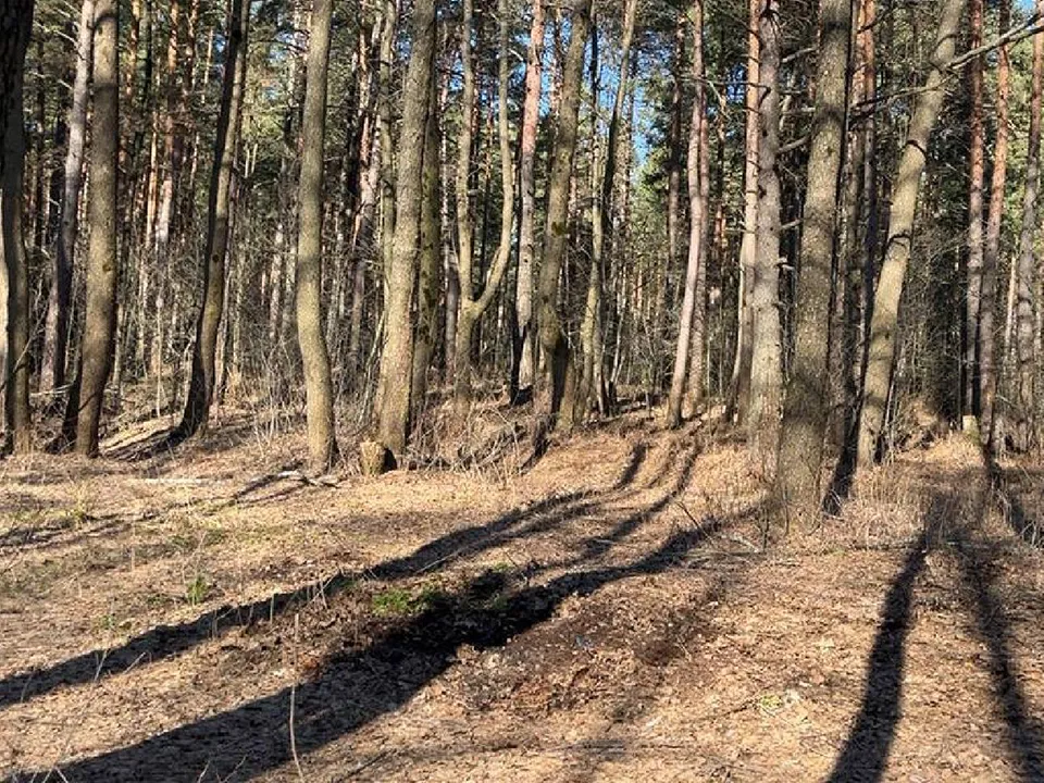 Фото: пресс-служба администрации Шатурского муниципального округа