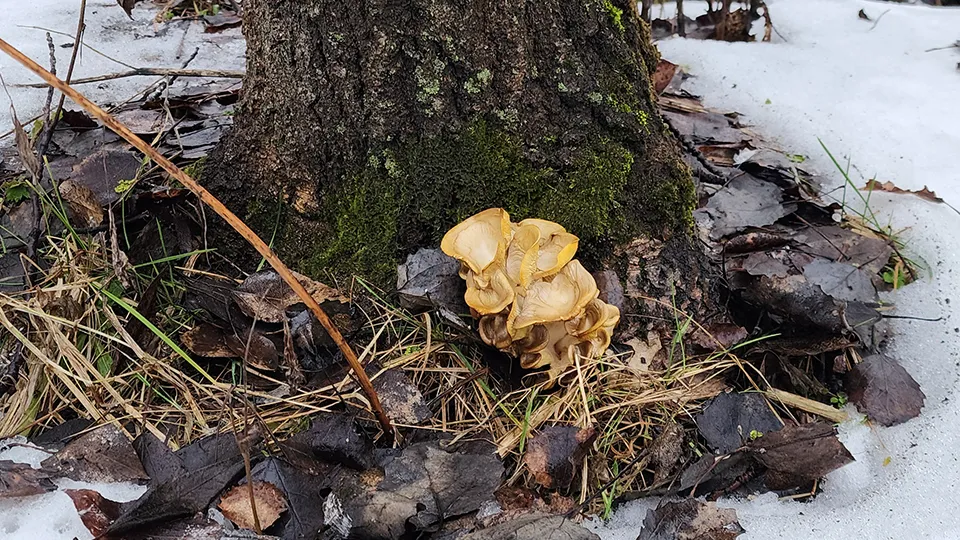 Фото: Ольга Аввакумова