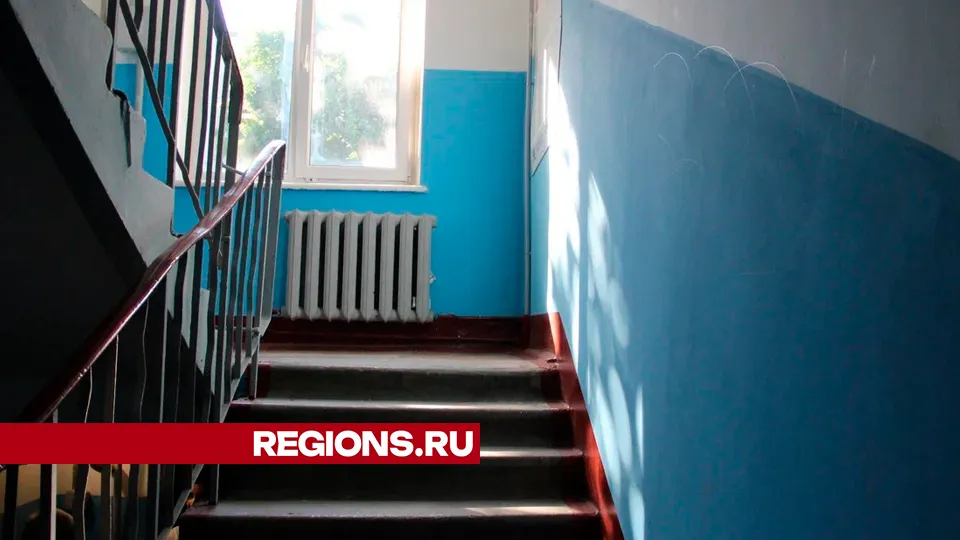 Фото: REGIONS/Василий Тремасов