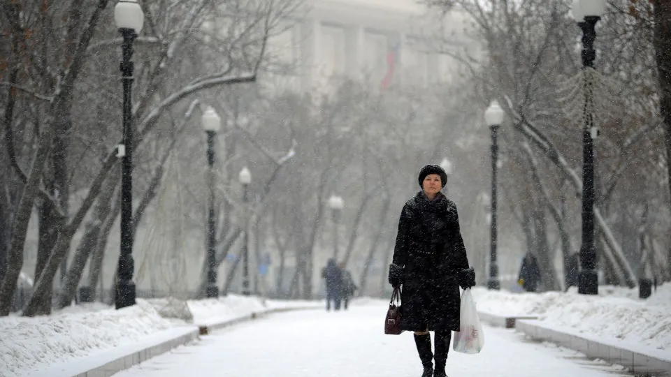 Фото: медиасток.рф