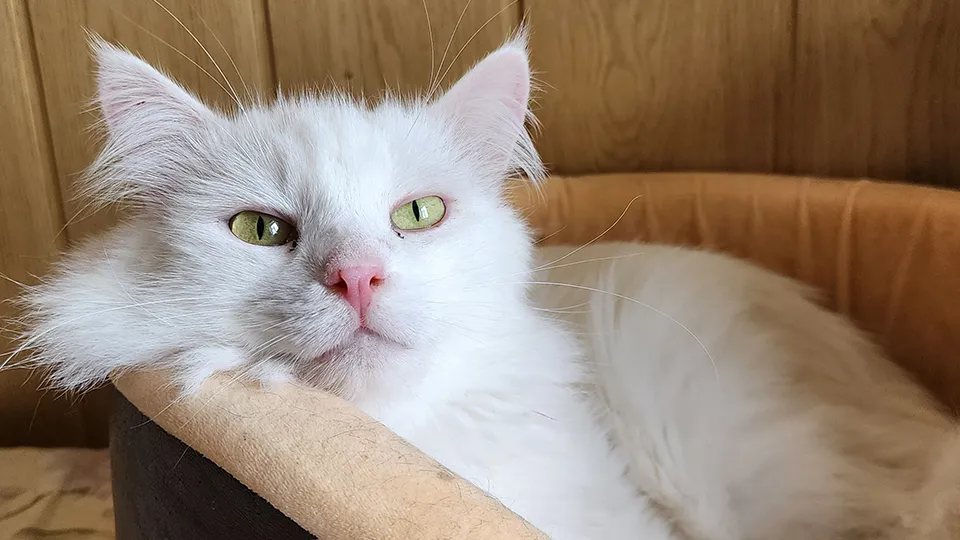 Фото: REGIONS/Максим Сафронов