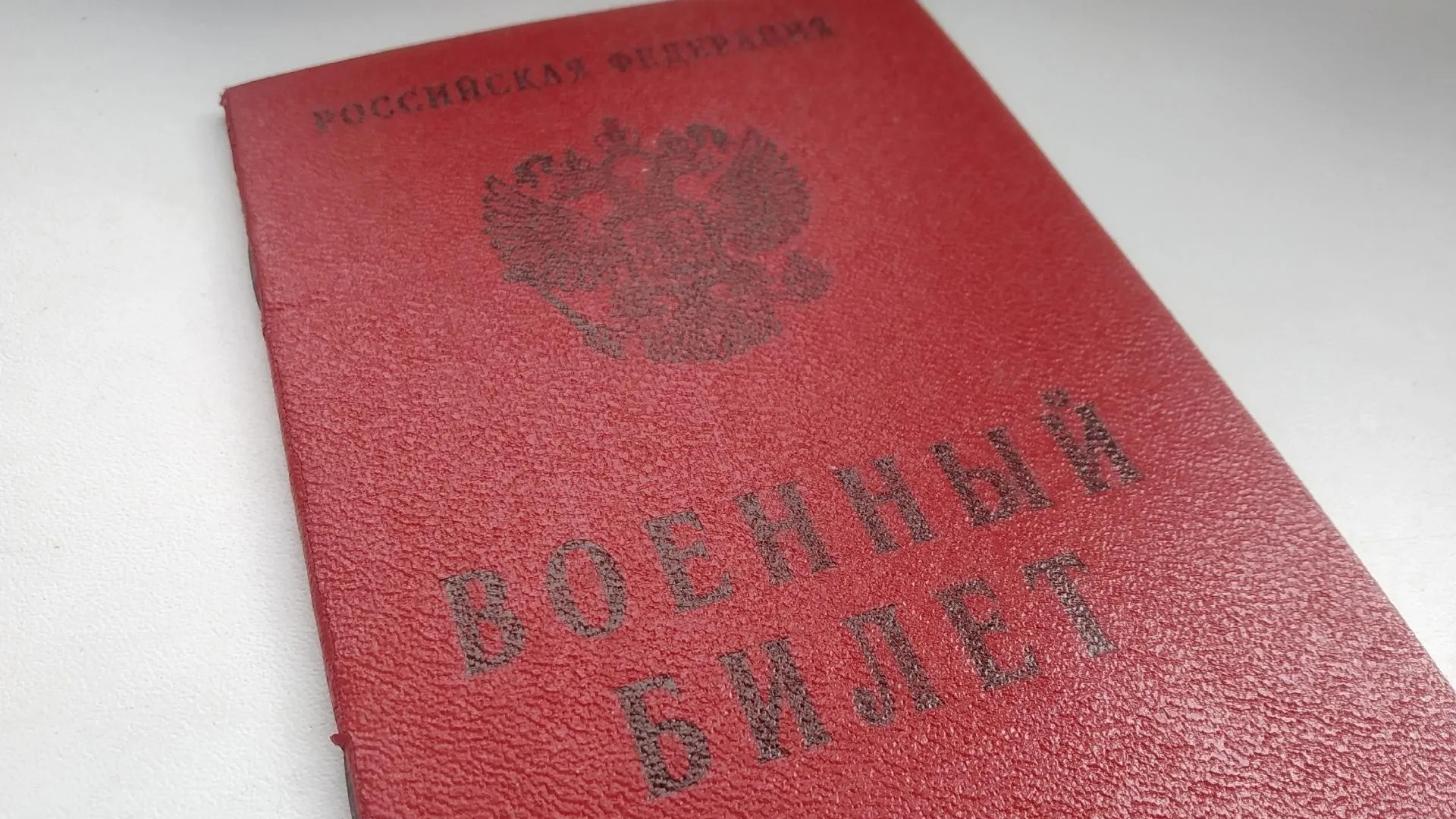 Фото: Татьяна Синельникова