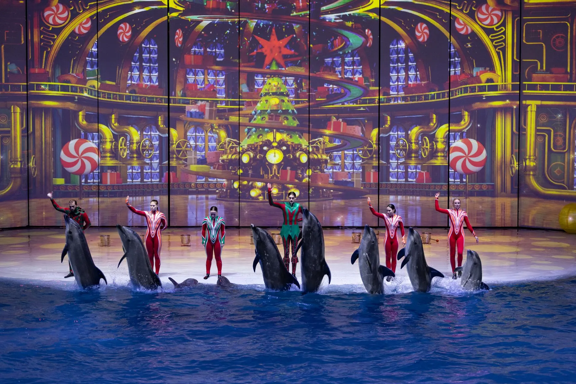 пресс-служба «Москвариума»