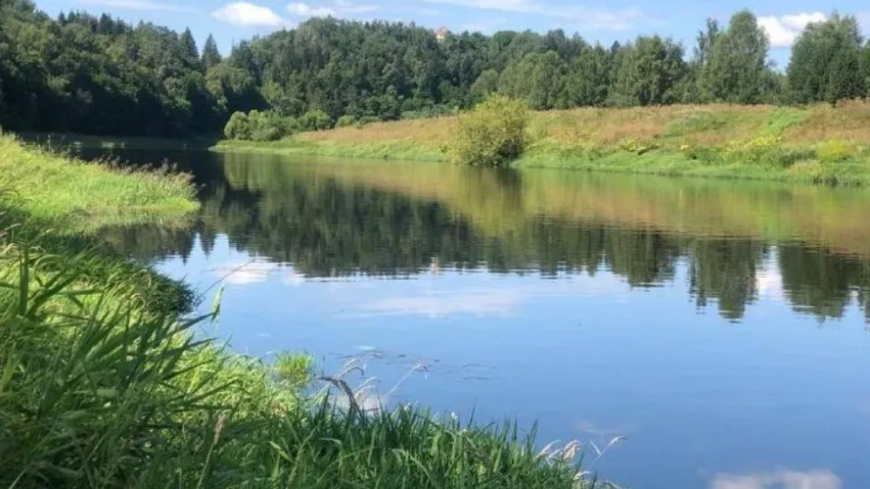 Фото: министерство экологии и природопользования Московской области