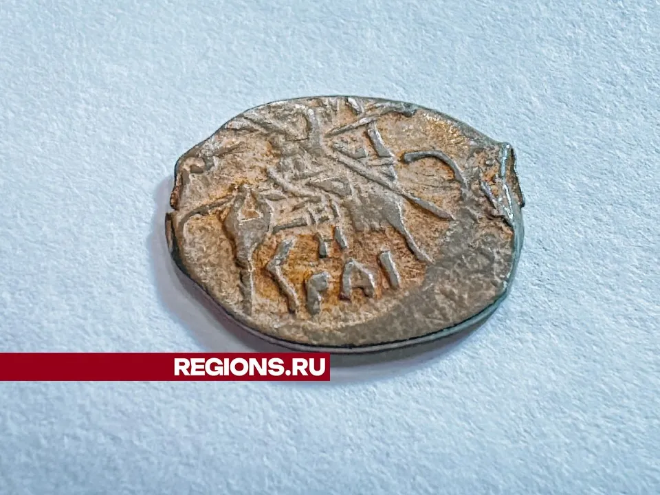 Фото: МедиаБанк Подмосковья/Данила Кирьянов&nbsp;