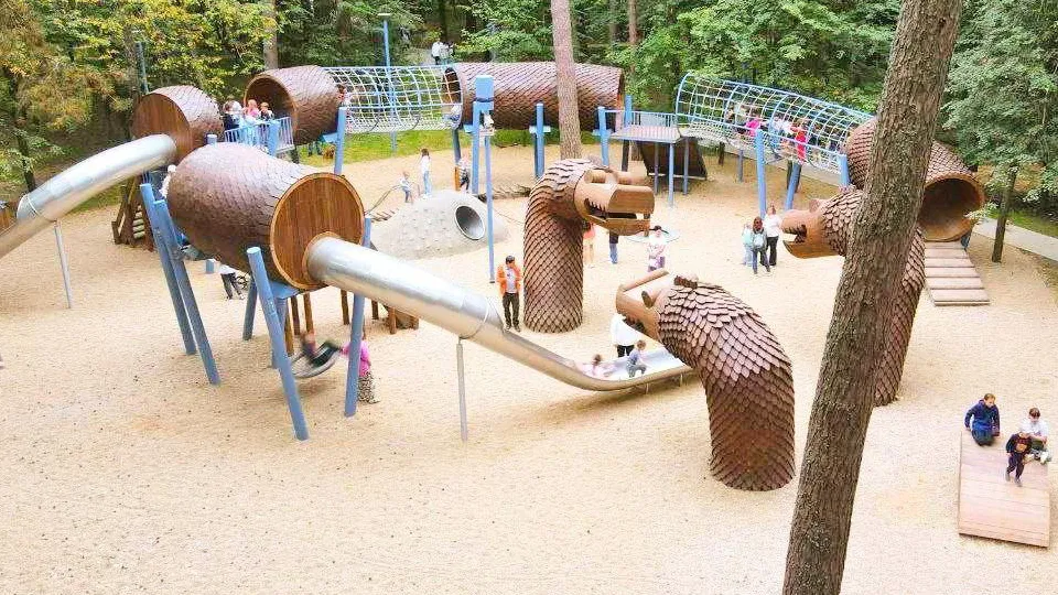 Фото: пресс-служба администрации г.о. Серпухов