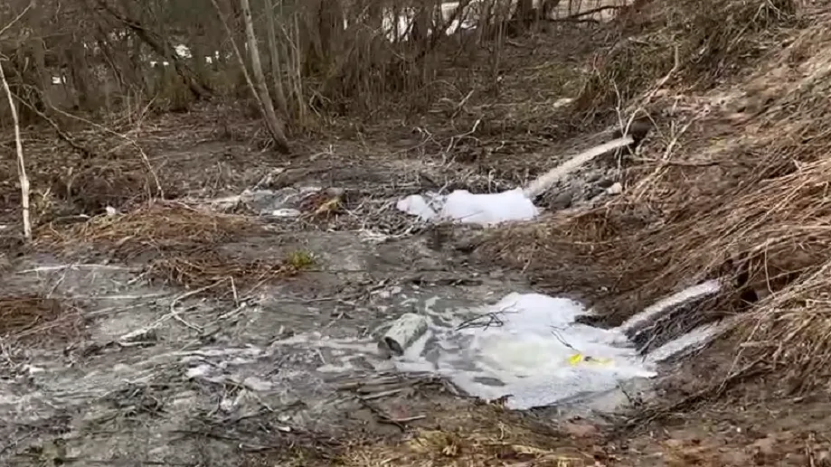 Фото: t.me/NewsPDM