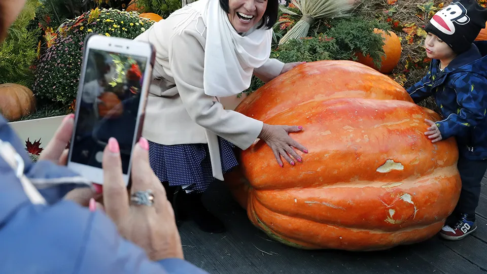 Фото: TASS/EPA/MAXIM SHIPENKOV