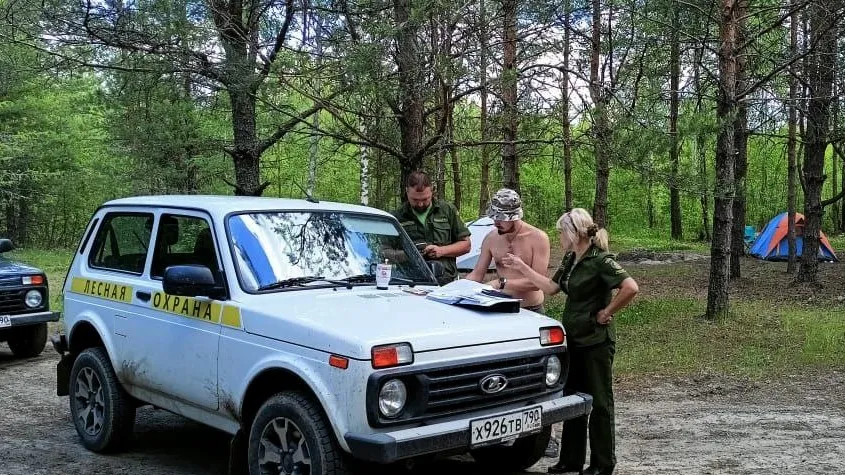 Фото: Комитет лесного хозяйства Московской области