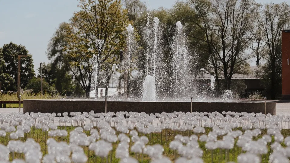 Фото: пресс-служба администрации г.о. Химки