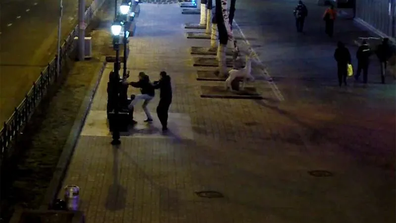 Вандалов, глумившихся над «Ребятами с нашего двора», задержали в Люберцах