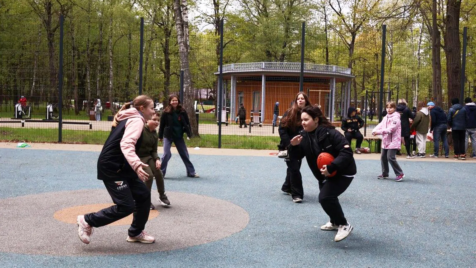 Фото: Пресс-служба администрации г.о. Ступино