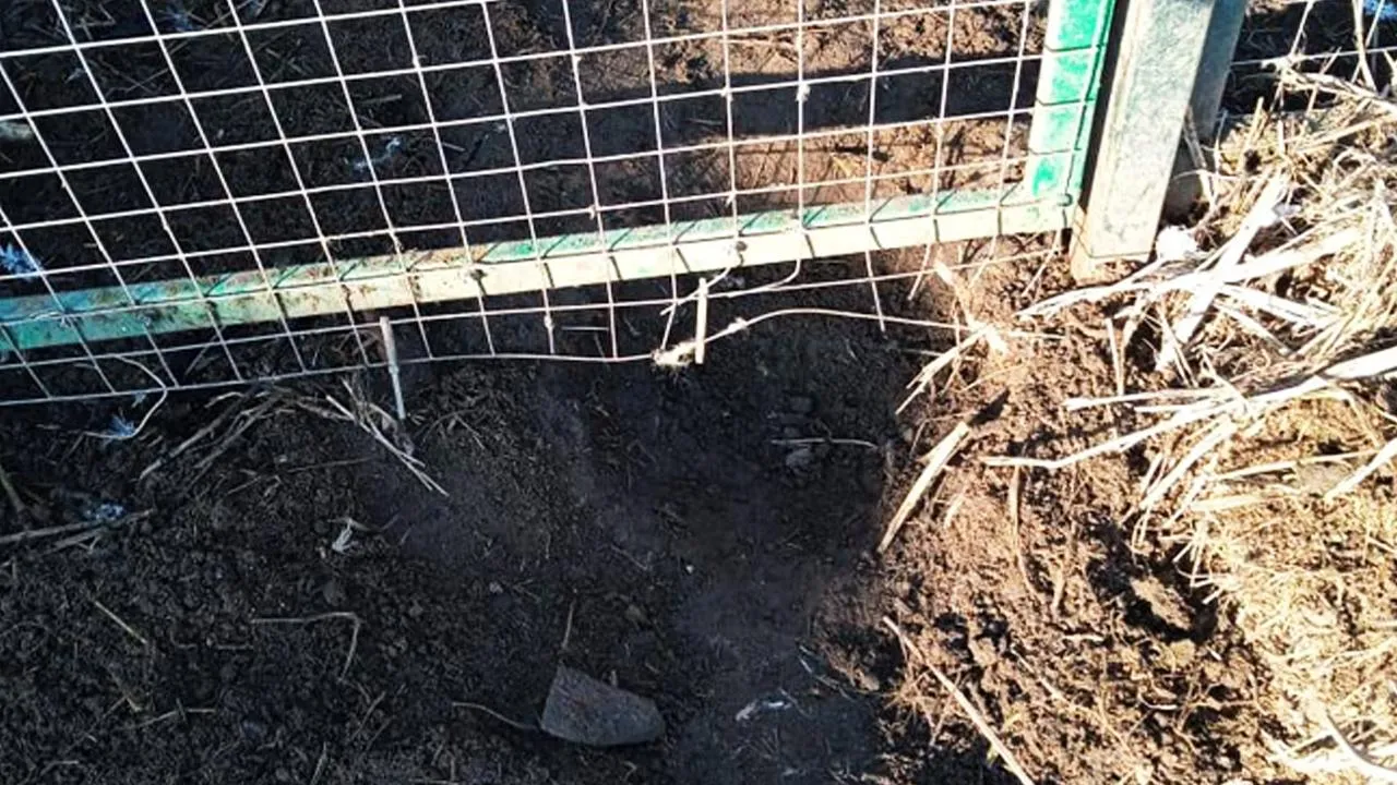 Фото: пользователя соцсетей alimovprumia