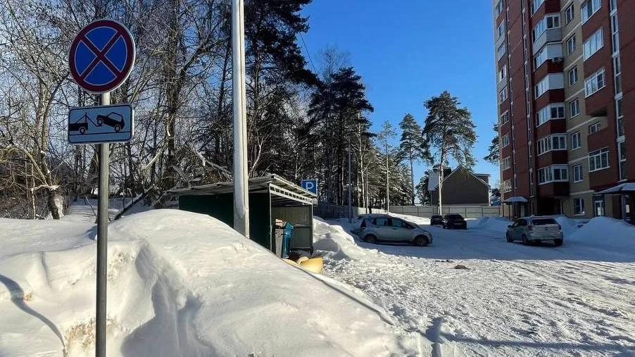 Фото Администрация Дмитровского городского округа/ВКонтакте.