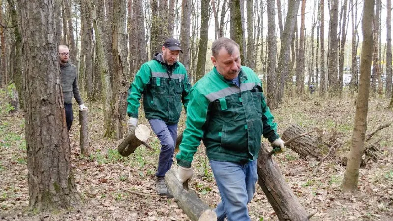 Фото: архив парка культуры и отдыха «Елочки»