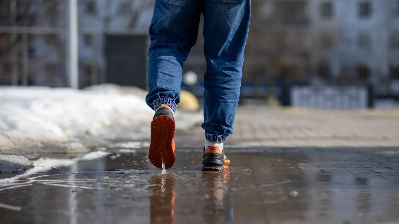 REGIONS/Владимир Ерастов