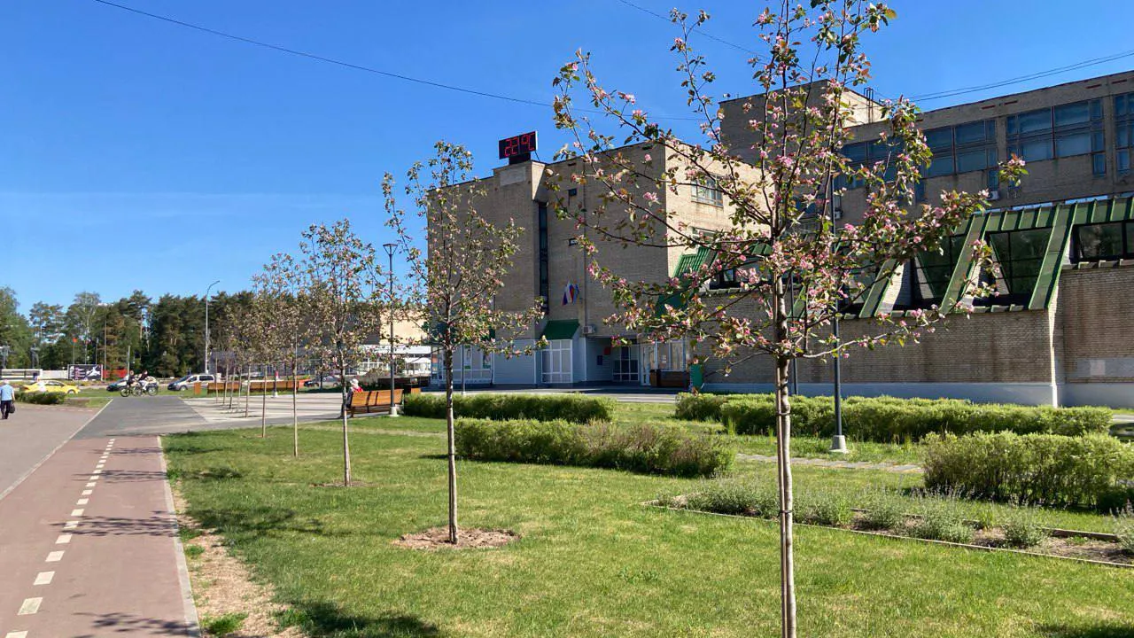 Фото: t.me/Chikin_vChG