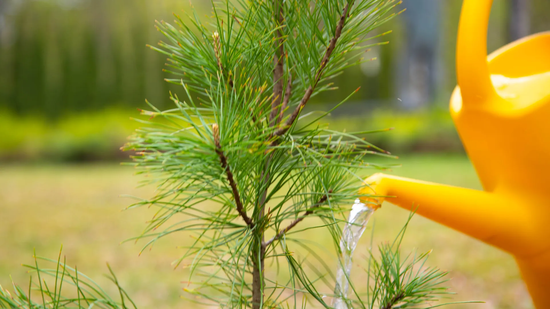 медиасток.рф