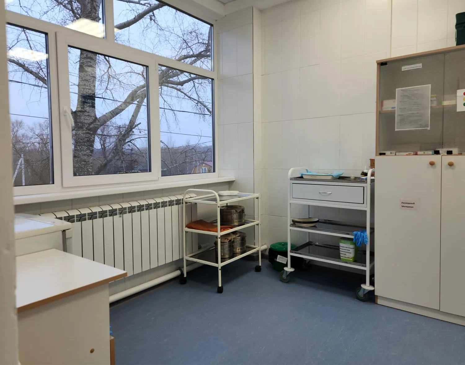 Фото: МедиаБанк Подмосковья/Татьяна Кострикина