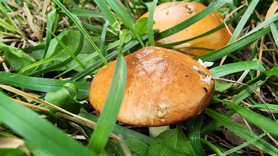 Фото: МедиаБанк Подмосковья/Ксения Пашуто