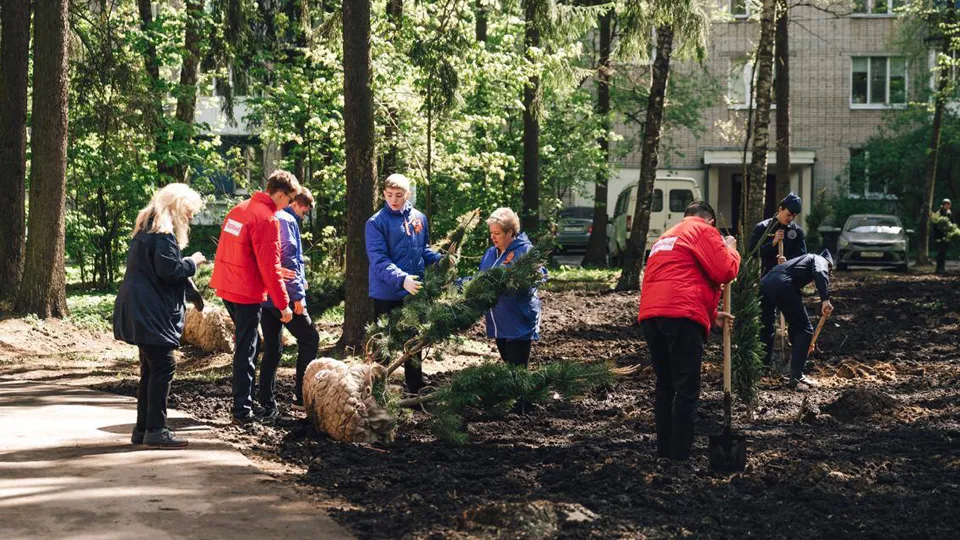 Фото: пресс-служба администрации г.о. Щелково