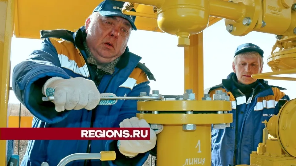 Фото: REGIONS/Александр Дрожжин