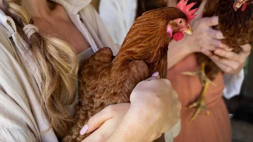 Фото: freepik.com