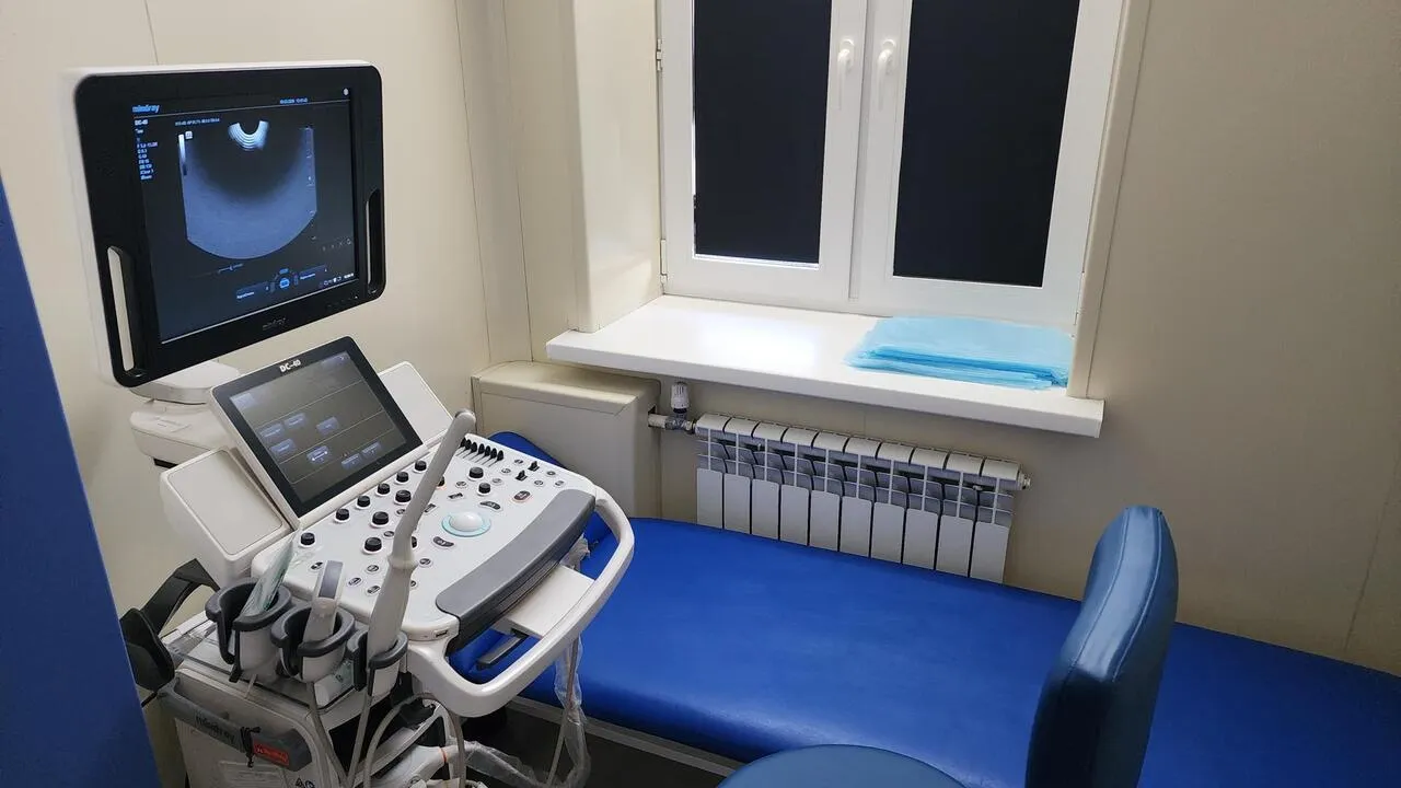 REGIONS/Валерия Тингаева