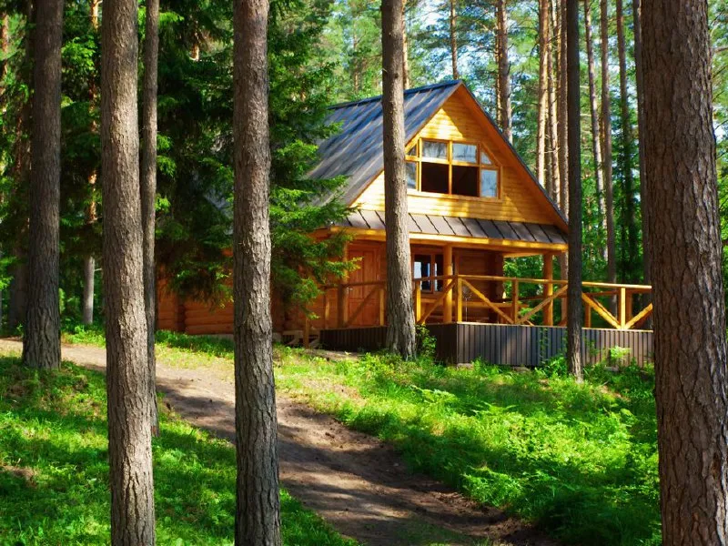 &nbsp; Фото: istockphoto.com