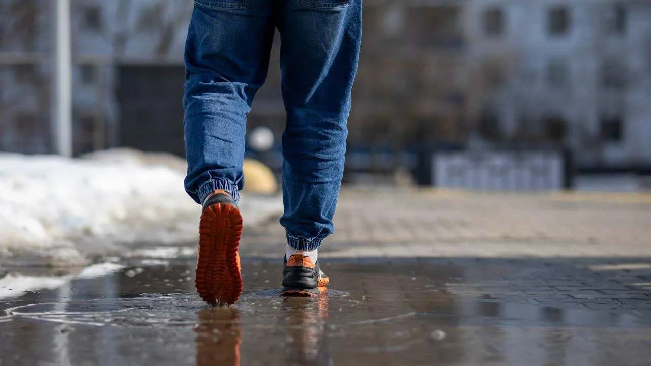 REGIONS/Владимир Ерастов