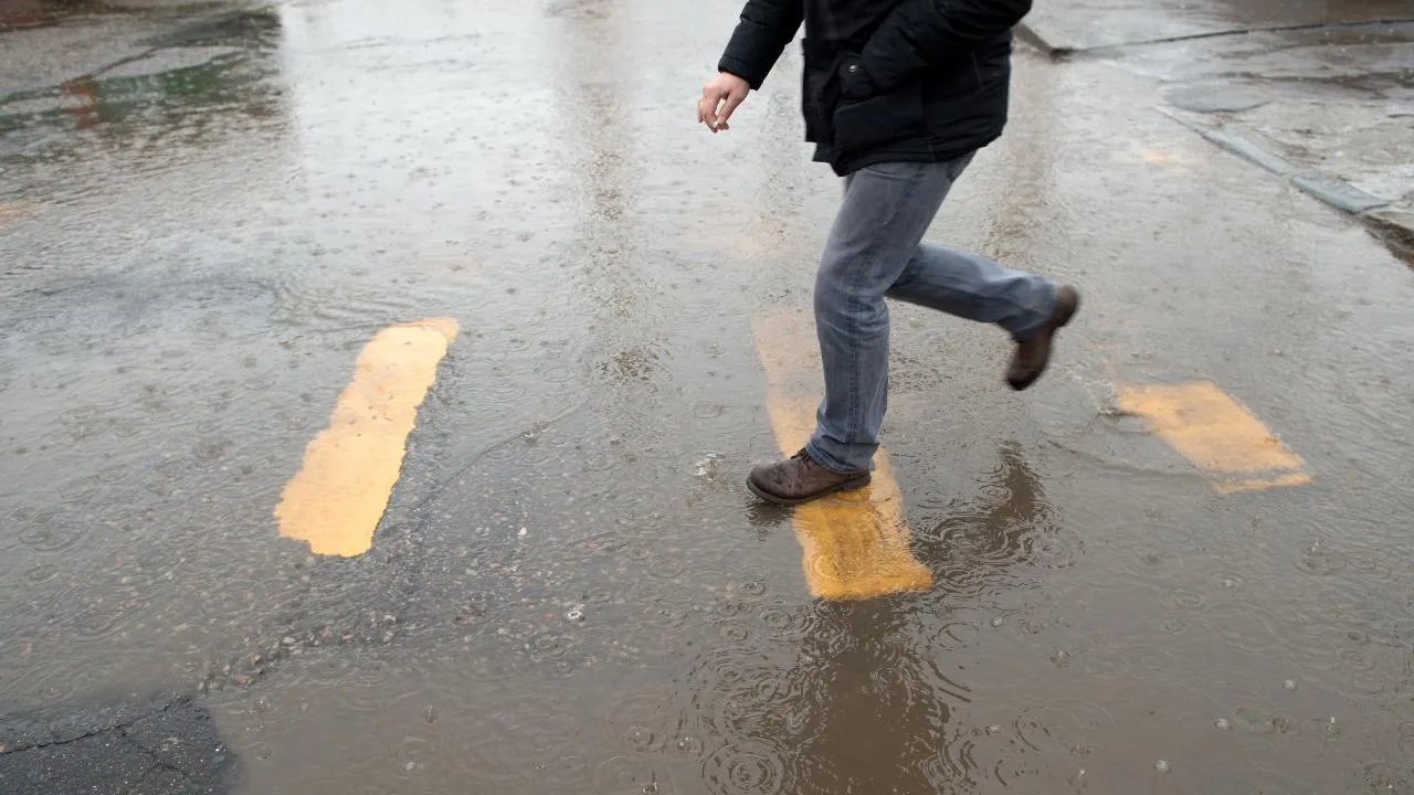 медиасток.рф