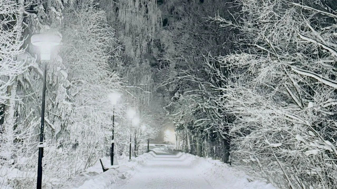 Марина Алифанова