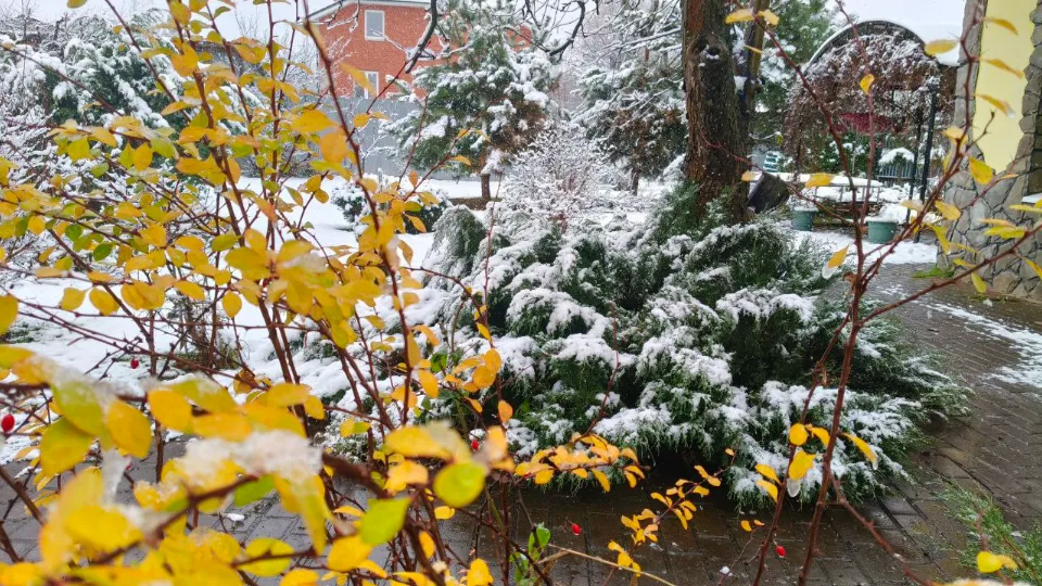 Фото: REGIONS/Елена Шахиджанова