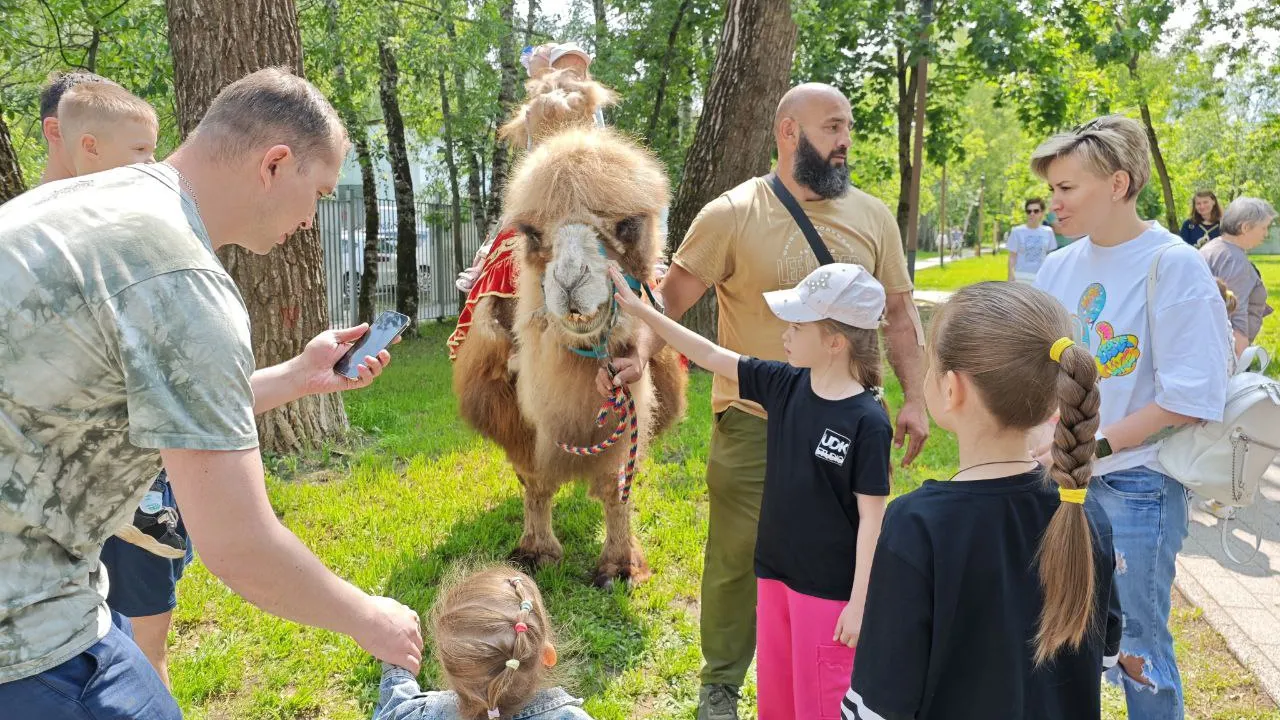 Фото: МБУК  «Городской парк культуры и отдыха»