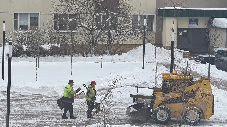 Фото: МедиаБанк Подмосковья/Татьяна Рунова