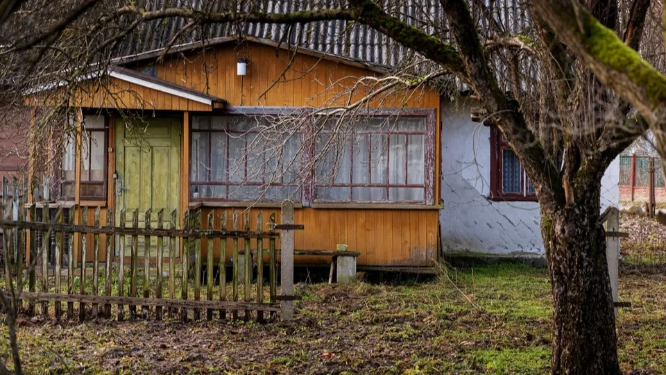 Фото: freepik.com