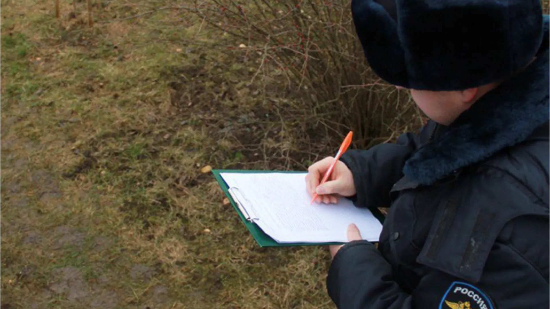 Фото: пресс-служба МВД