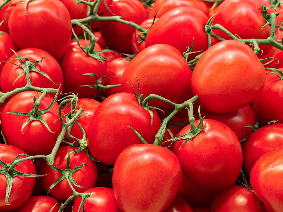 Фото: istockphoto.com/Nataliy Kl&nbsp;