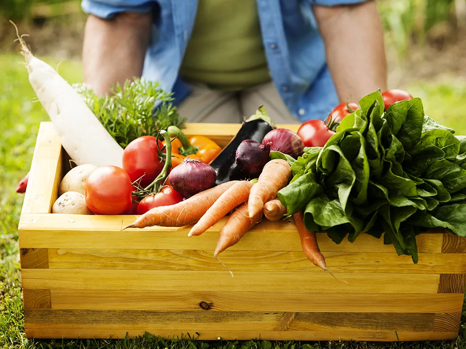 Фото: freepik.com