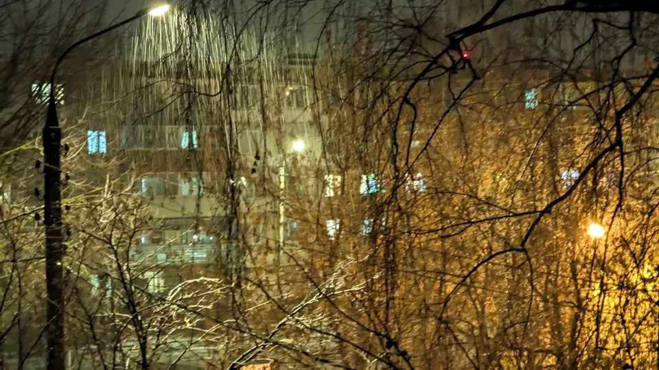 Фото: REGIONS/Алексей Селиверстов