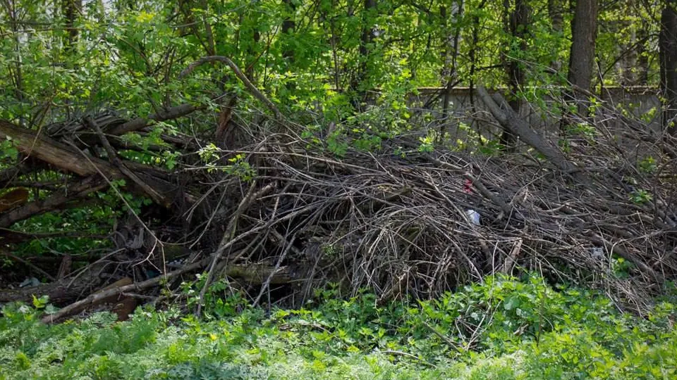 Фото: администрация г. о. Электросталь