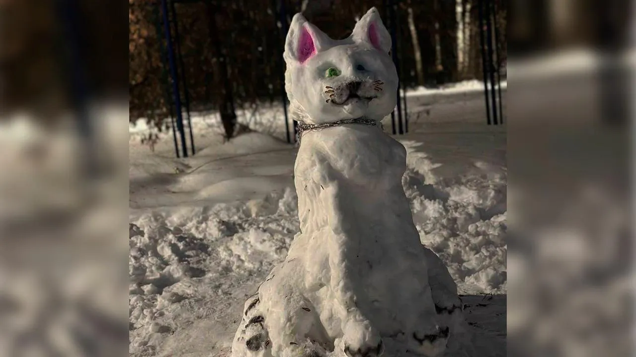 личный архив Виктории Сердюковой