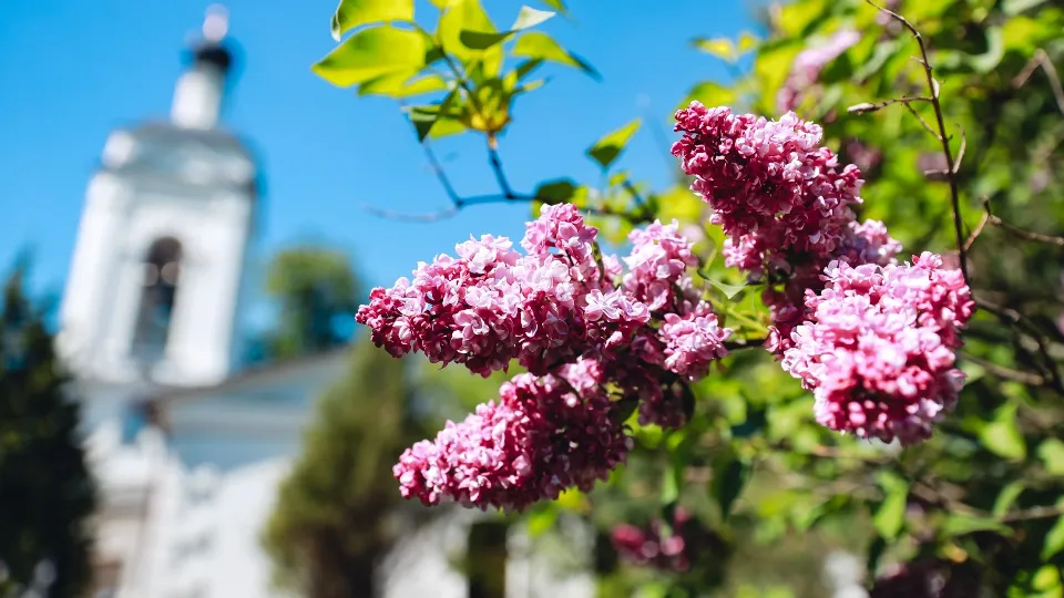 Фото: пресс-служба администрации г.о. Химки