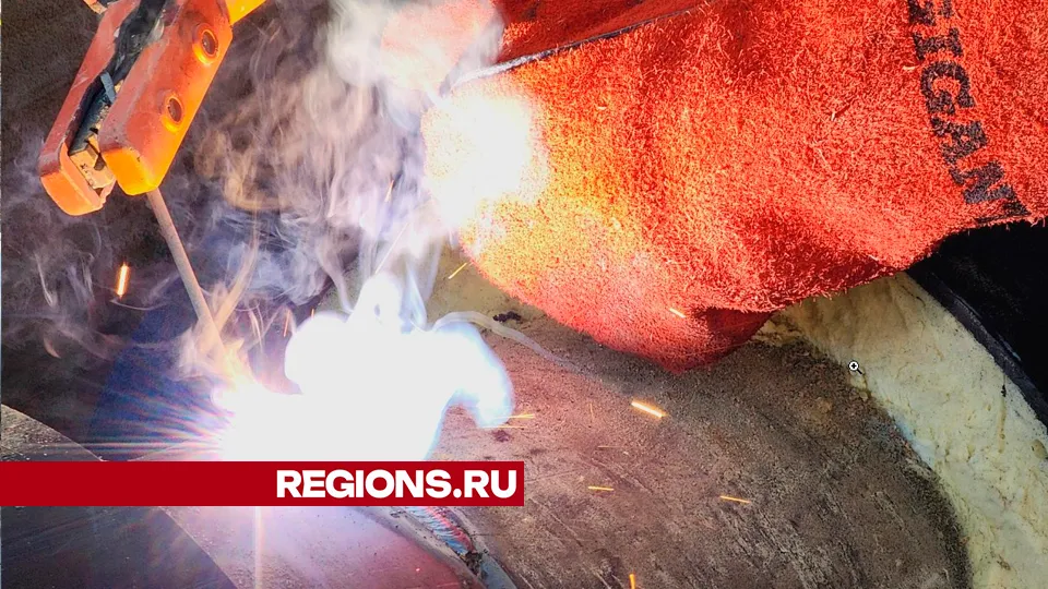 Фото: Юлия Андросова