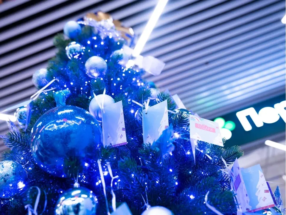 Фото: REGIONS/Наталия Надточая