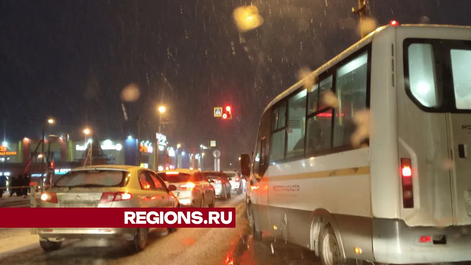 Фото: REGIONS/Василий Тремасов