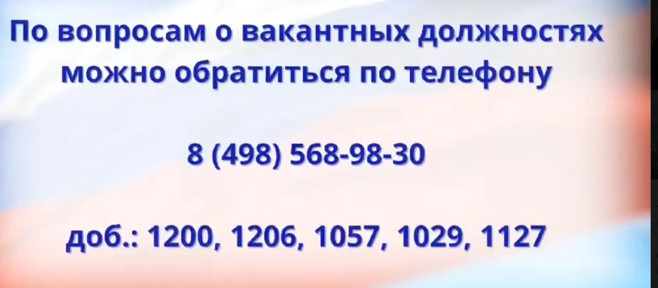 Фото: пресс-служба ФССП России по Московской области
