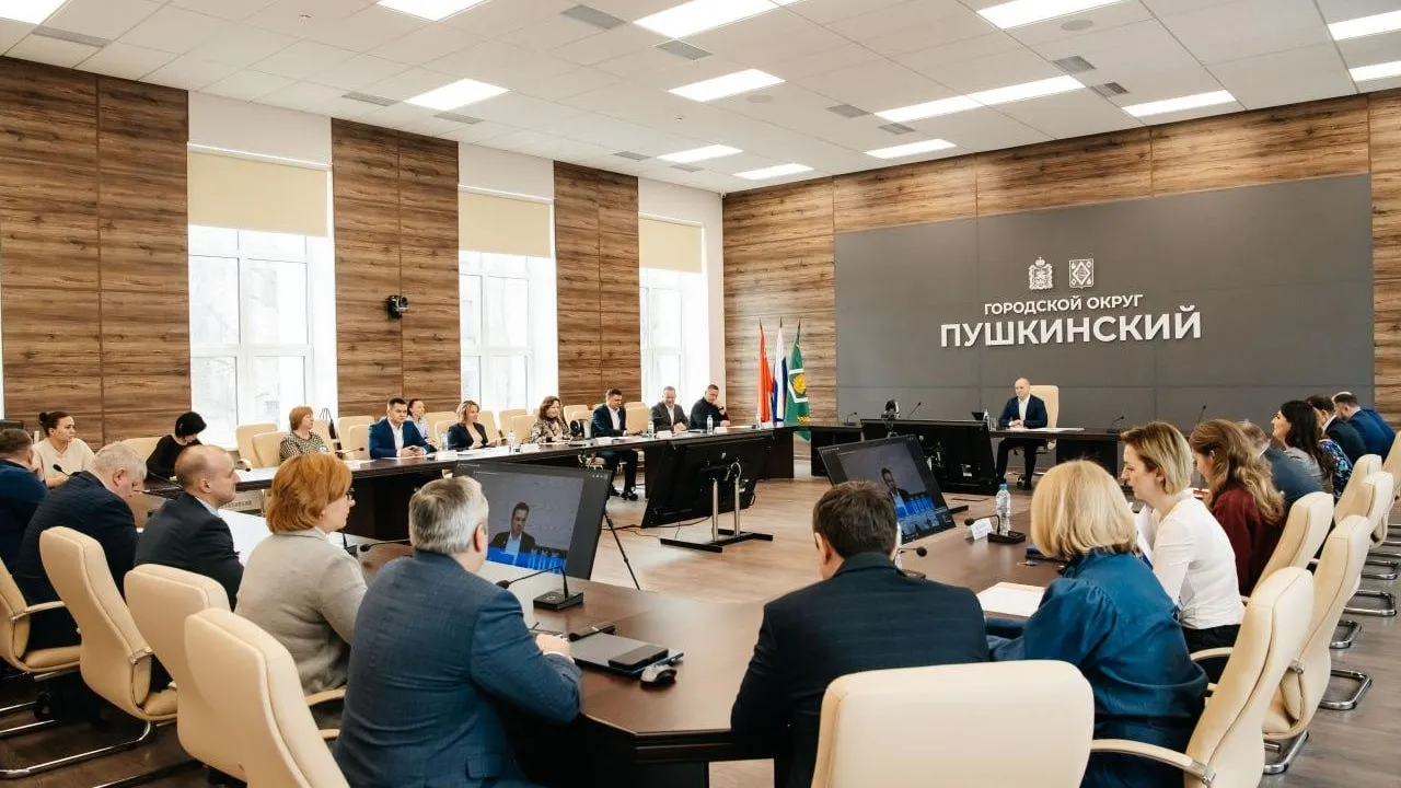 Глава округа Пушкинский подвел итоги совещания под руководством губернатора