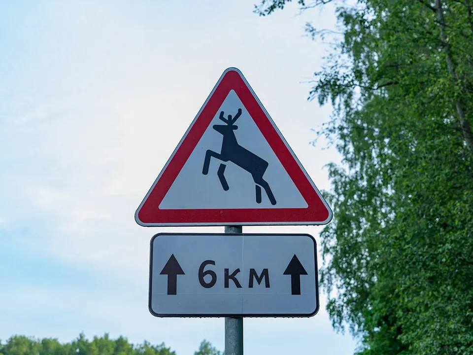 Фото: istockphoto.com