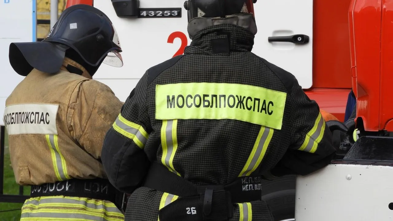 Фото: ГКУ МО «Мособлпожспас»